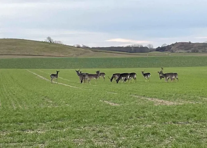 Spacious Near The Feriehus *