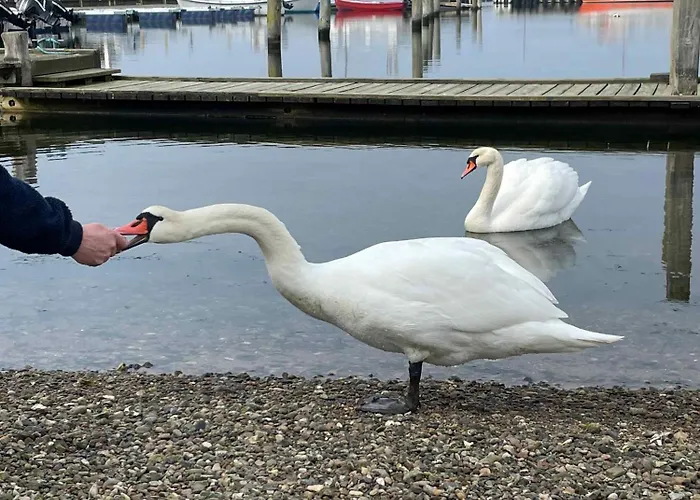 Spacious Near The Semesterbostad